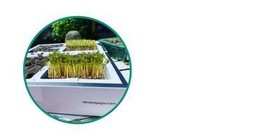 Untitled 1500 x 1000 px 2