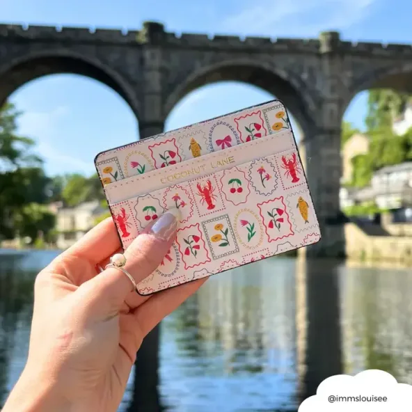 Cute Card Holder open, showing card slots